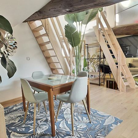 Jungle Loft Beziers Centre Lejlighed Eksteriør billede