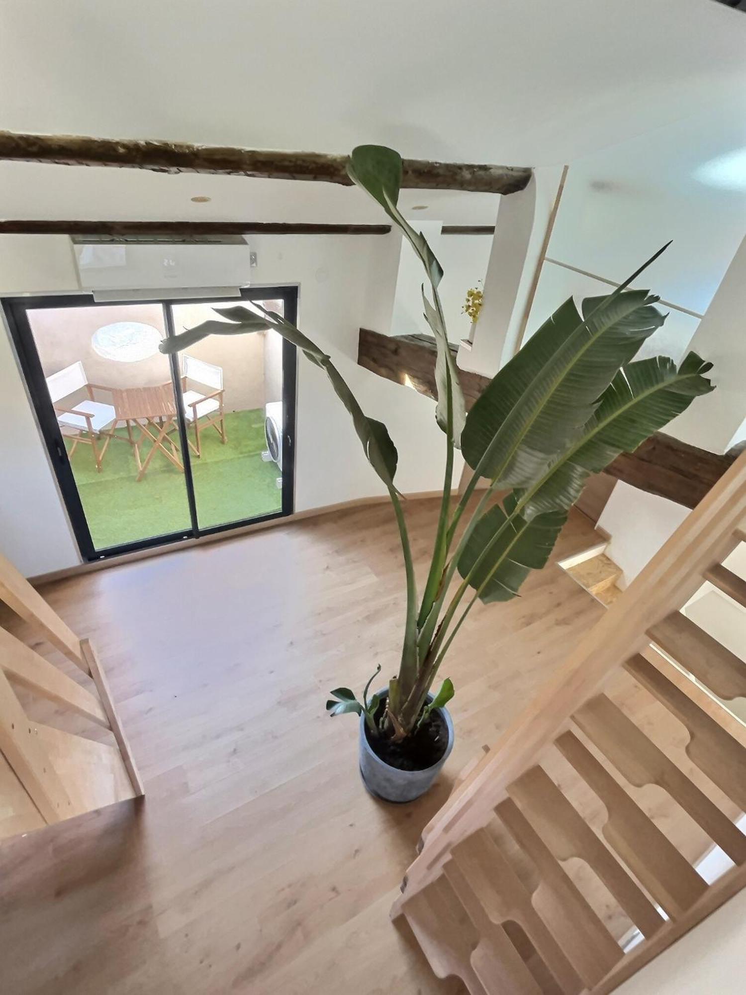 Jungle Loft Beziers Centre Lejlighed Eksteriør billede