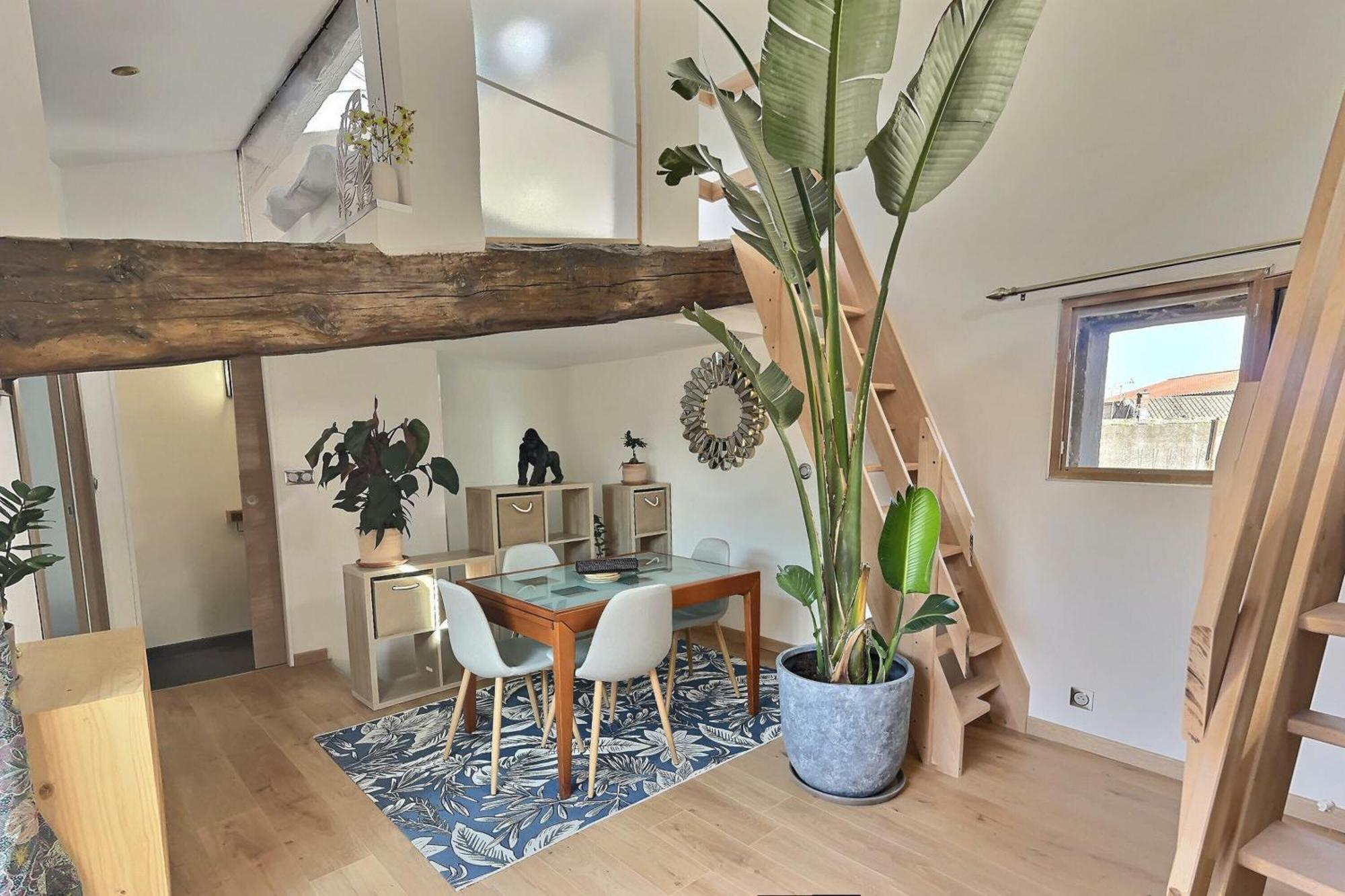 Jungle Loft Beziers Centre Lejlighed Eksteriør billede
